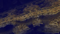 VirtueOne_3D-Fractal_HD-Wallpaper_1920x1080_1.jpg