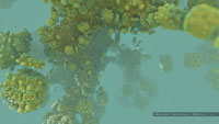 VirtueOne_3D-Fractal_HD-Wallpaper_1920x1080_13.jpg
