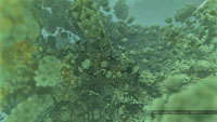 VirtueOne_3D-Fractal_HD-Wallpaper_1920x1080_15.jpg